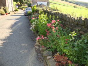 Lydgate Walk way
